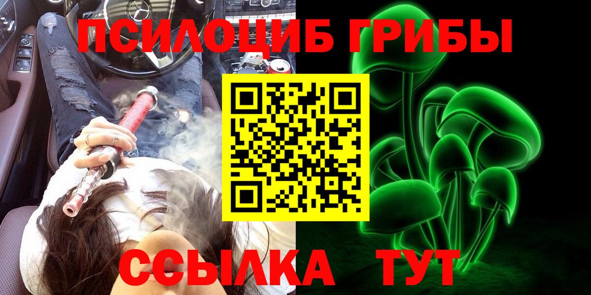 Псилоцибиновые грибы GOLDEN TEACHER Звенигород